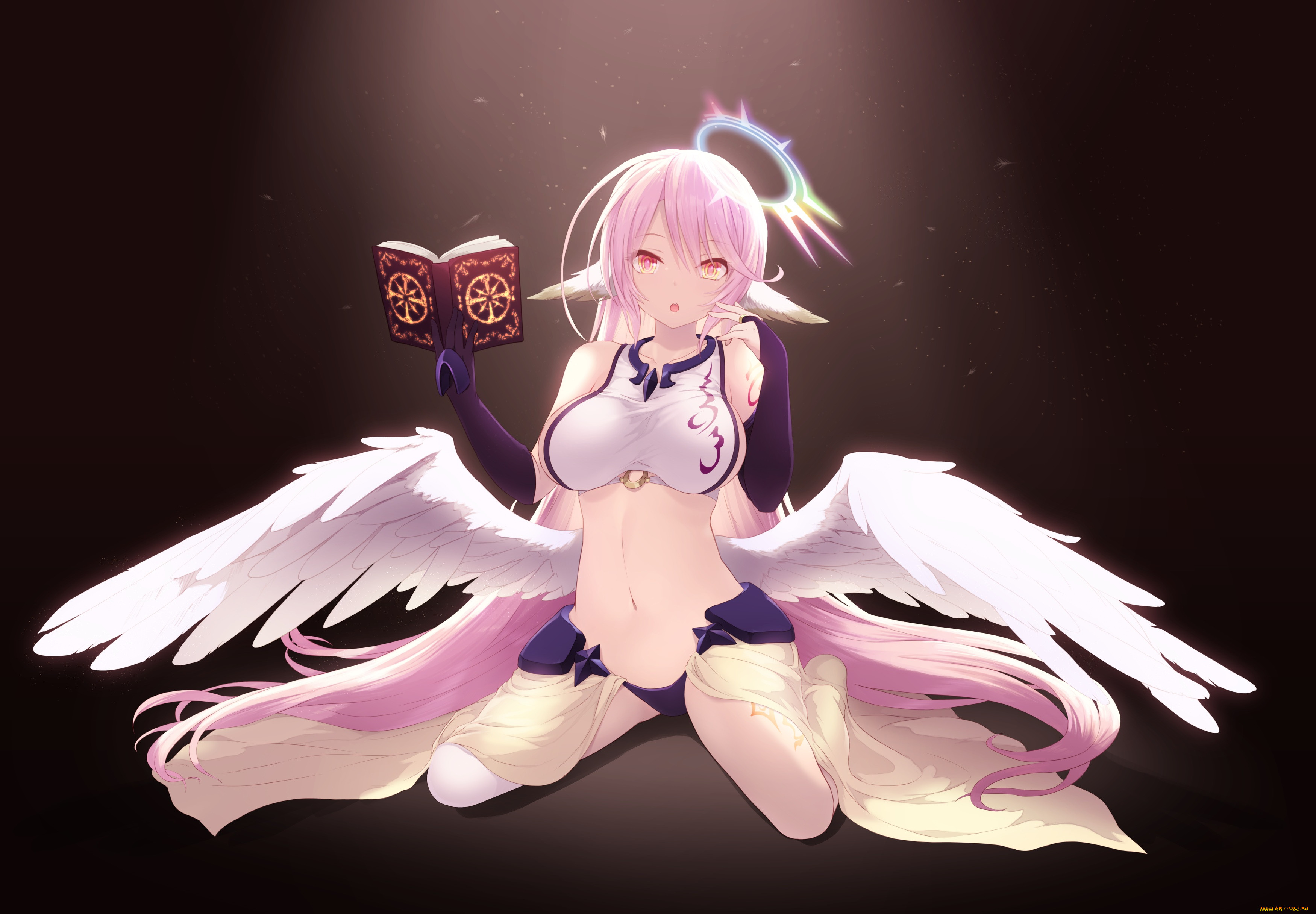 , no game no life, 